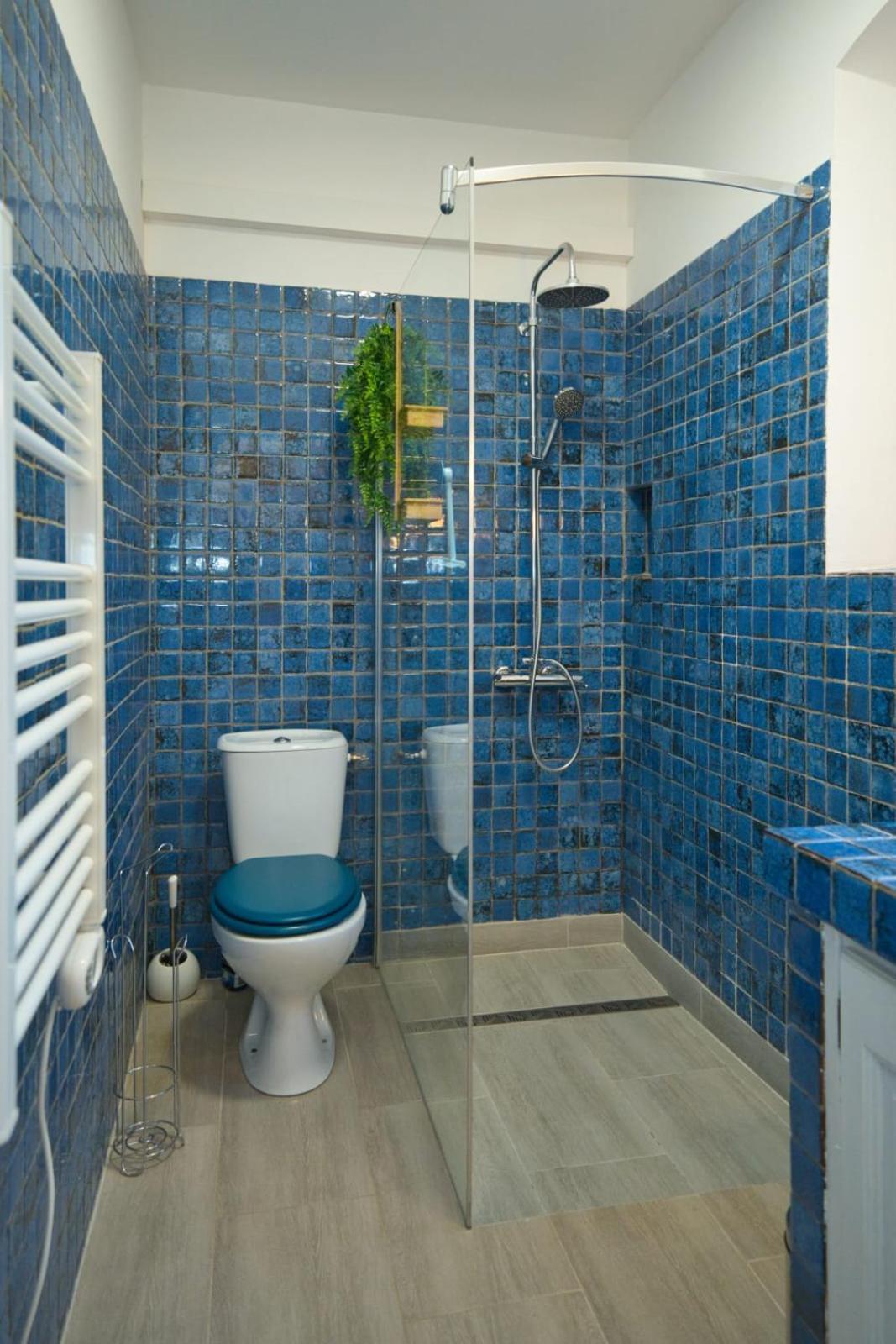 06Q - Biot Beautiful Provencal Villa With Swimming Pool Zewnętrze zdjęcie