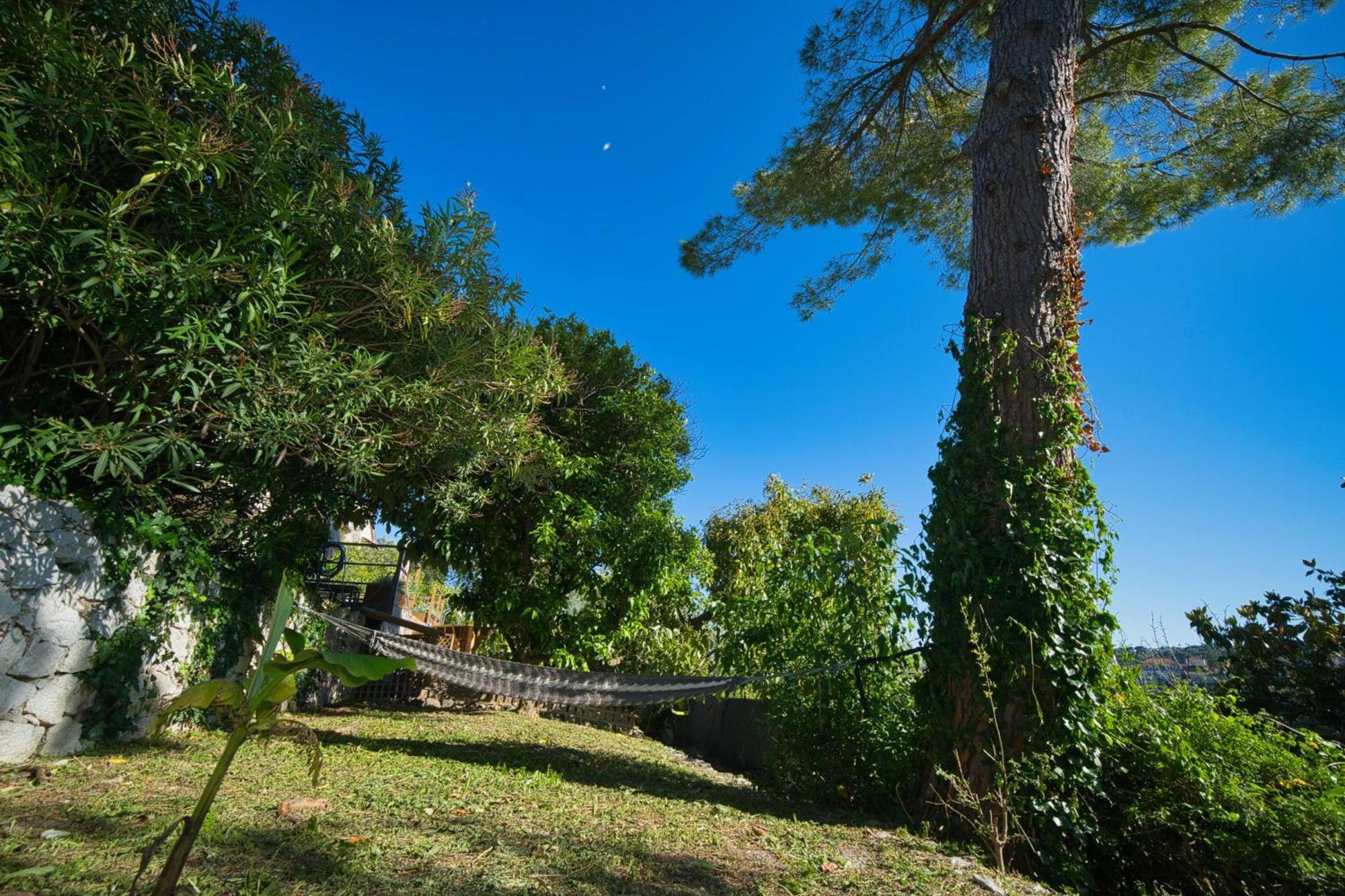 06Q - Biot Beautiful Provencal Villa With Swimming Pool Zewnętrze zdjęcie
